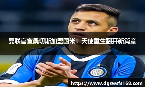 333体育官网
