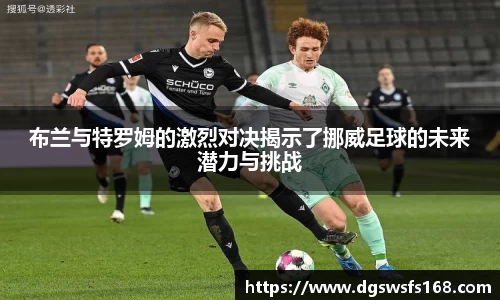 333体育官网